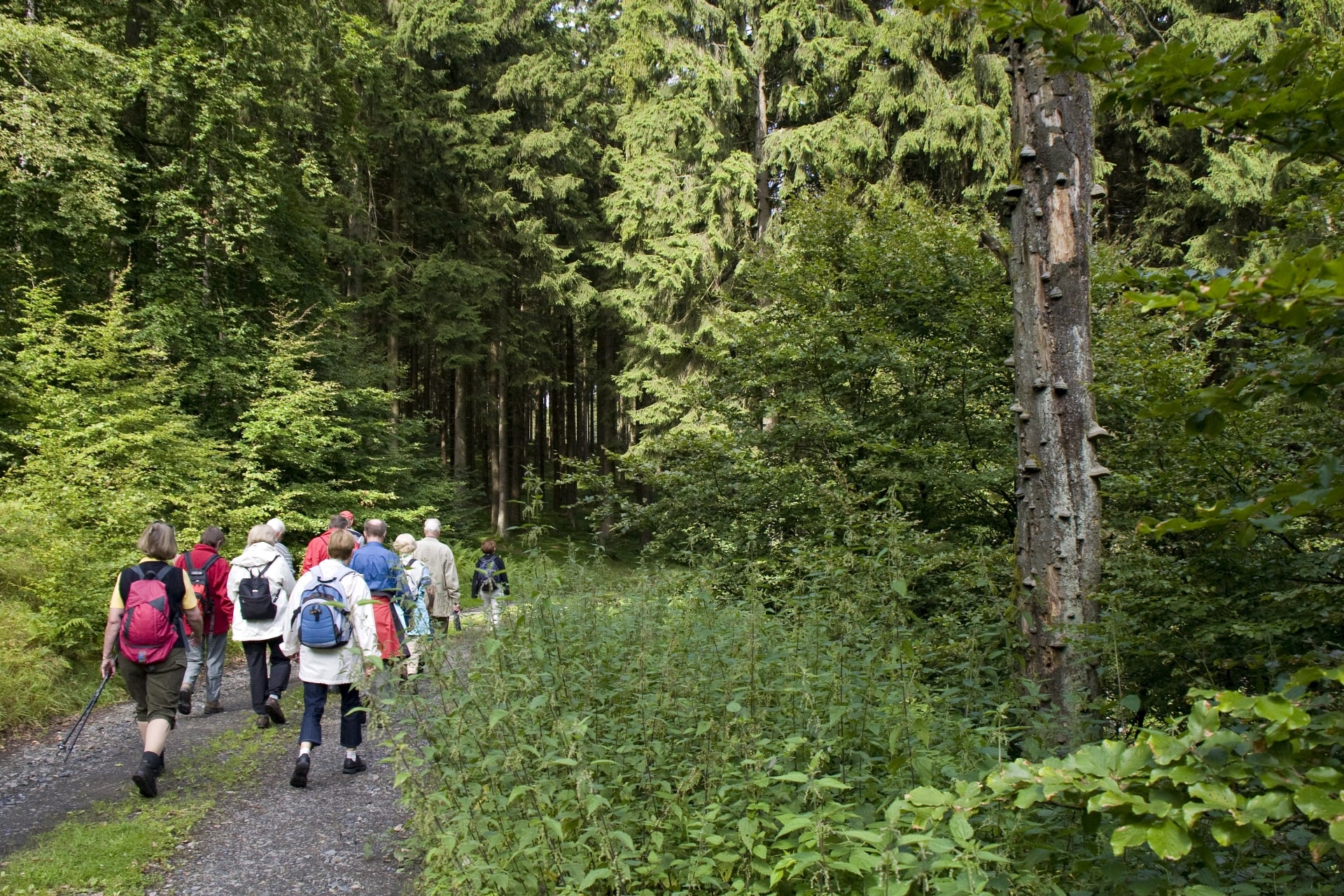 4 day hikes (approx. 12 - 16 km per day) led by the Wiese-Gerlach family